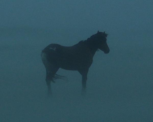 wind and rain
