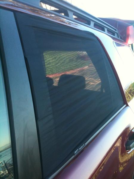 Window Sox (1of4)