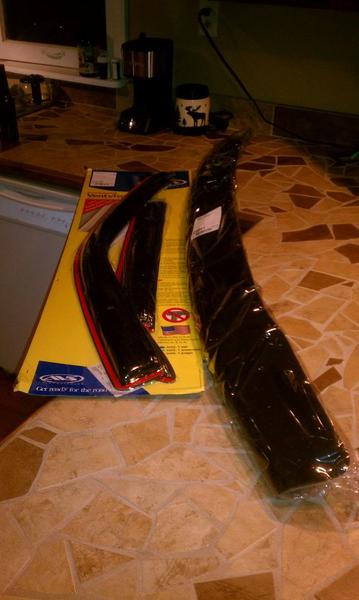Window visor and bug guard