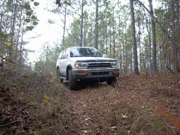 Woods