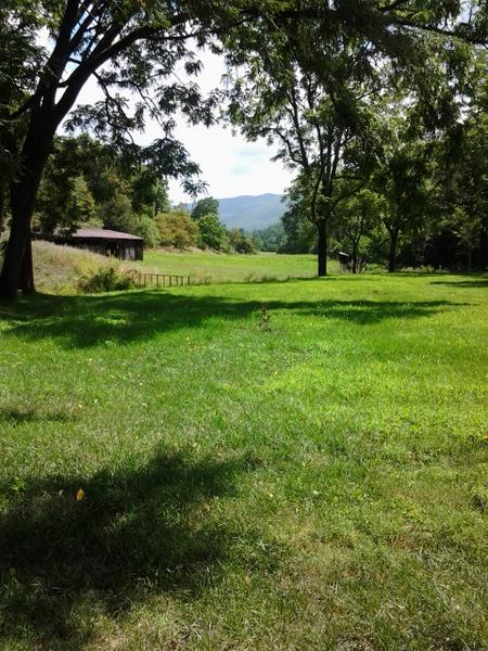 WVA