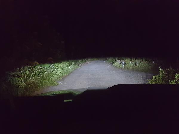 Xenon Depot LED Lows