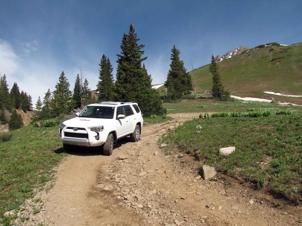 Yankee Boy Basin Ouray, CO