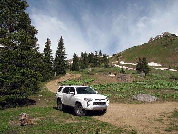 Yankee Boy Basin Ouray, CO