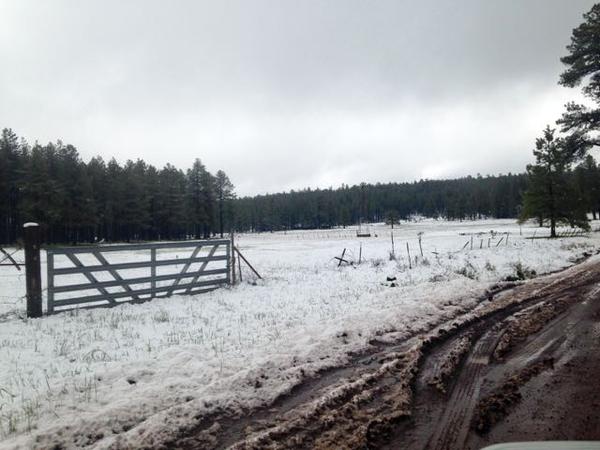 Yeah, this is Arizona in May
