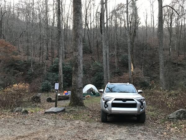 Yellow Gap Road roadside camping, Pisgah NF