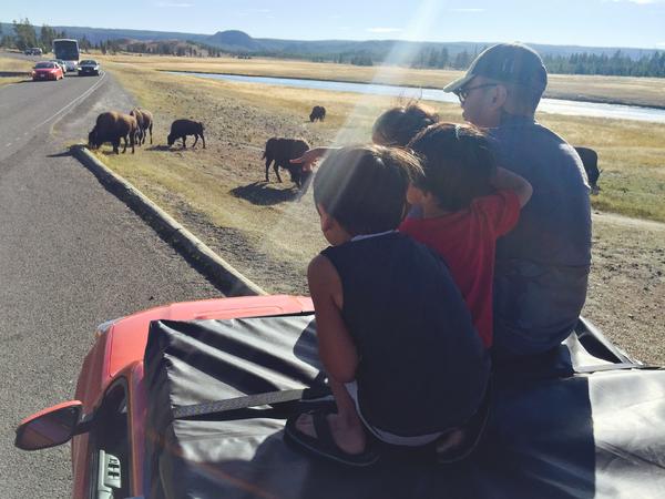 Yellowstone