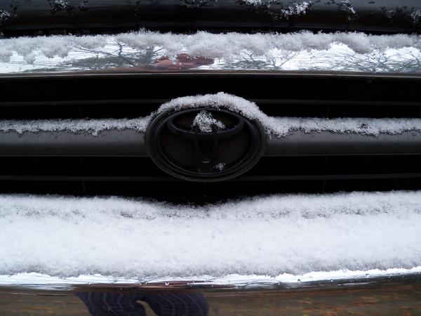 Yota in the snow