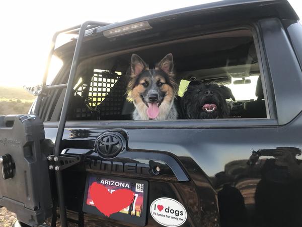 Zingo and Babu - my Navigators