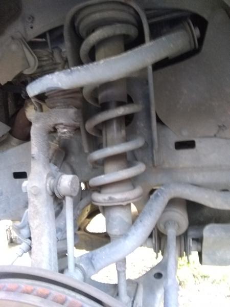 dalandshark-albums-struts-picture54123-not-leaky.jpg