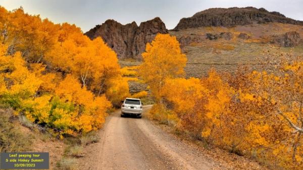 daw89446-albums-4running-picture62826-fall1.jpg