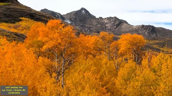 daw89446-albums-4running-picture62828-fall3.jpg