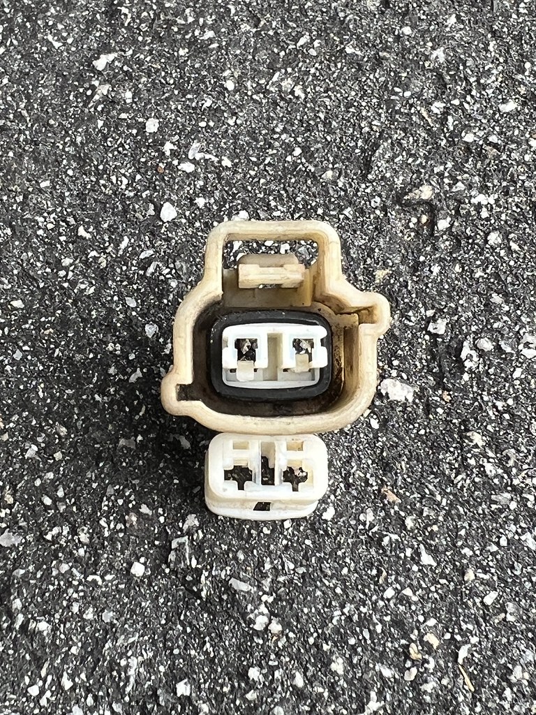 55275089168_1375c6685f_b.jpg