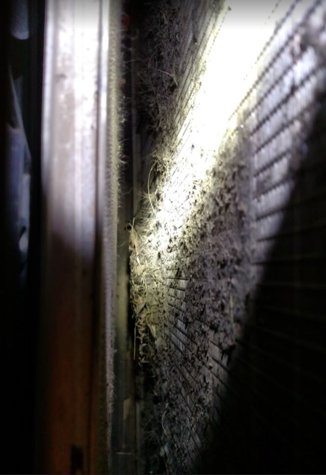 radiator.JPG