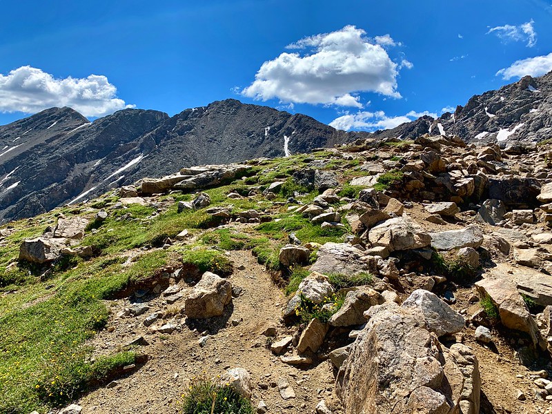 48521164017_cc264e8789_c.jpg