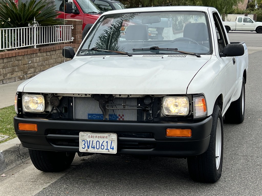 51794080269_155674caa6_b.jpg