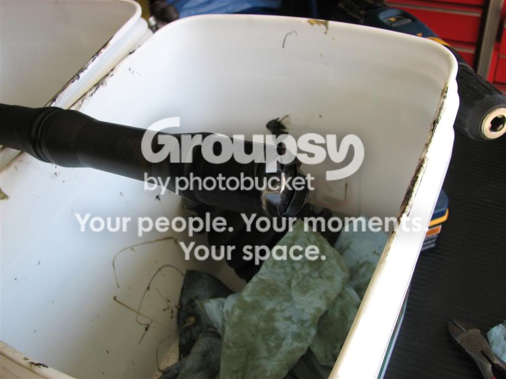 IMG_9304Medium.jpg~original