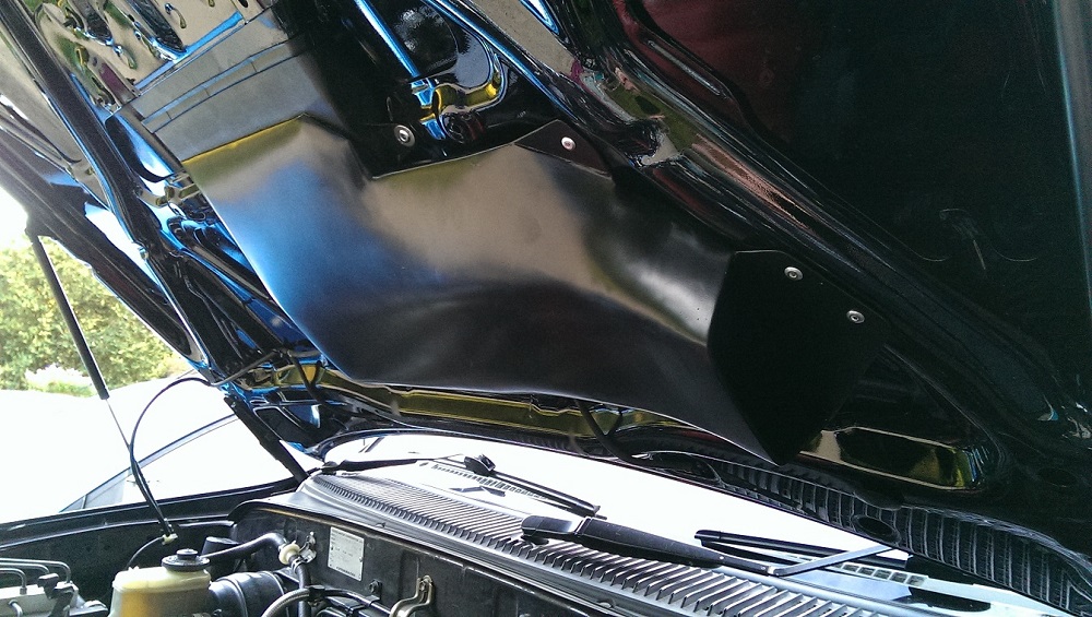 V8a8.jpg