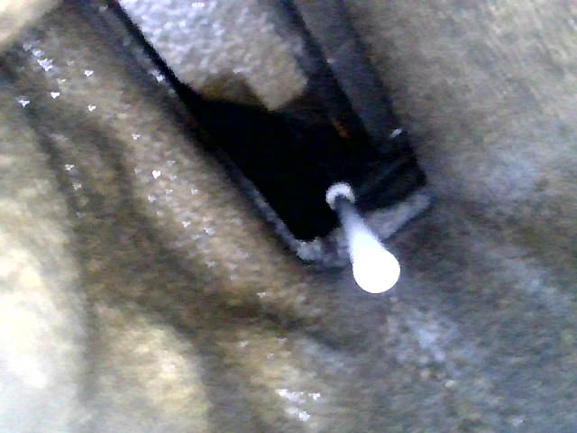 endoscope1.jpg