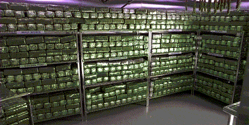 tumblr_mltpt5KX6A1qgfndgo1_500.gif