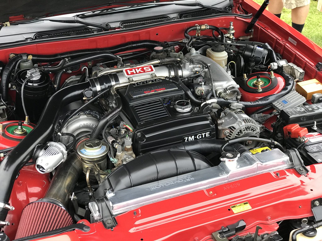 47996744578_fd73739f52_b.jpg