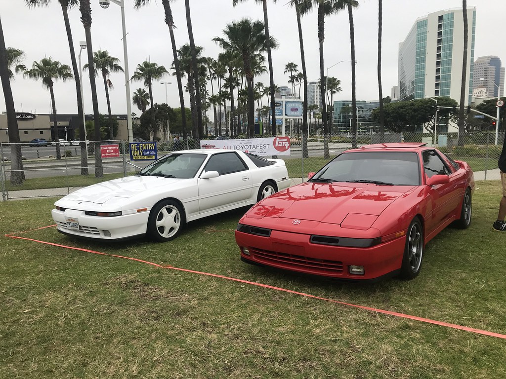 47996744888_6f286e4ae6_b.jpg