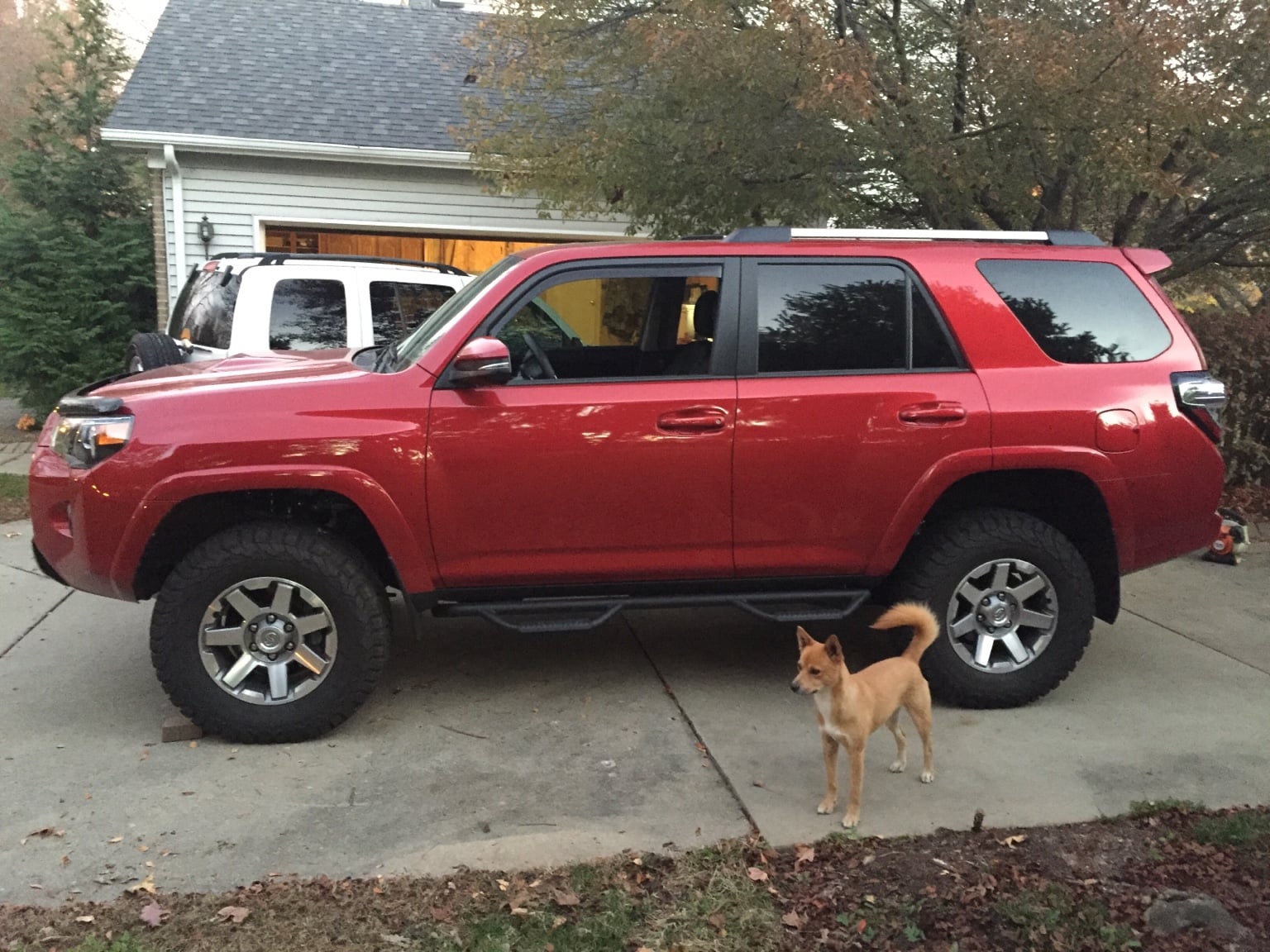 dade556b71d21b6b7a3663fca1646bca.jpg