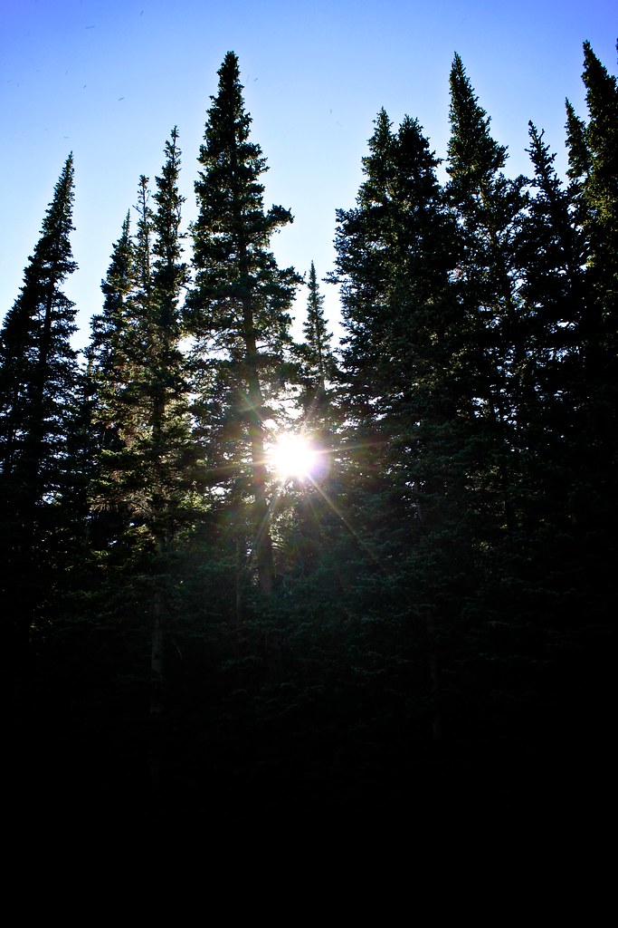 8387046755_68c2fec874_b.jpg