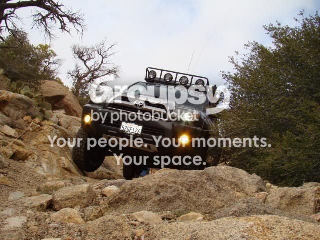 Mojave2-21-2010106.jpg~original