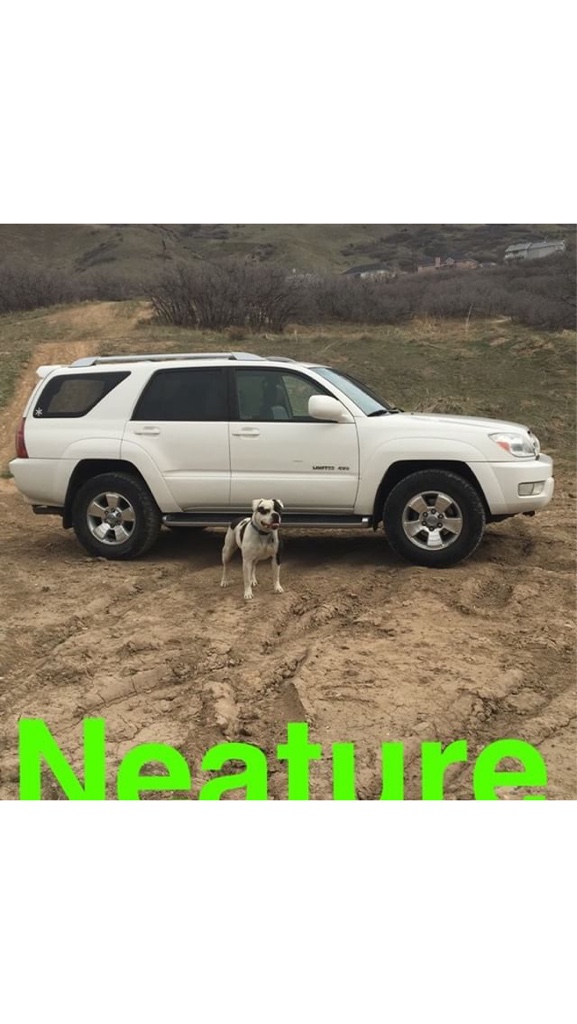 461fd0060d2f88d5c375990d5ca47698.png