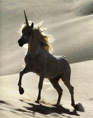 unicorn.jpg