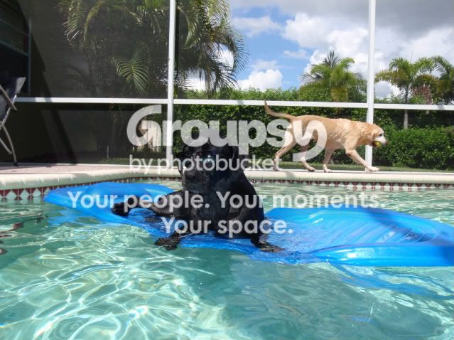 P9240006-1.jpg~original