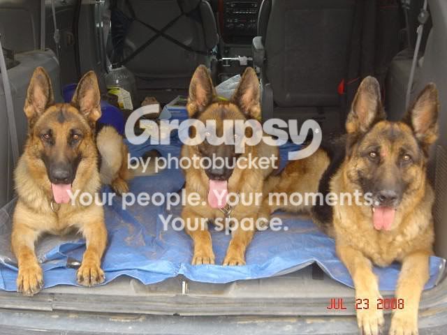 3stooges.jpg~original