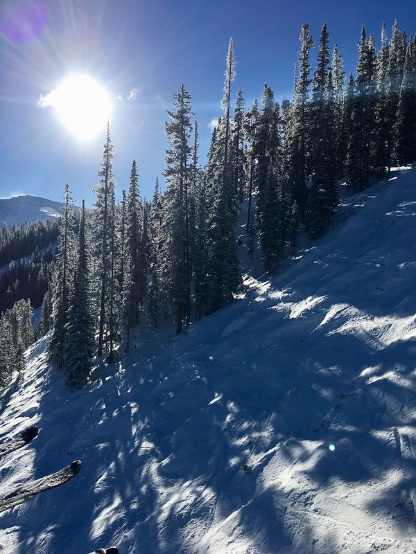 29373519218_372093fb51_c.jpg