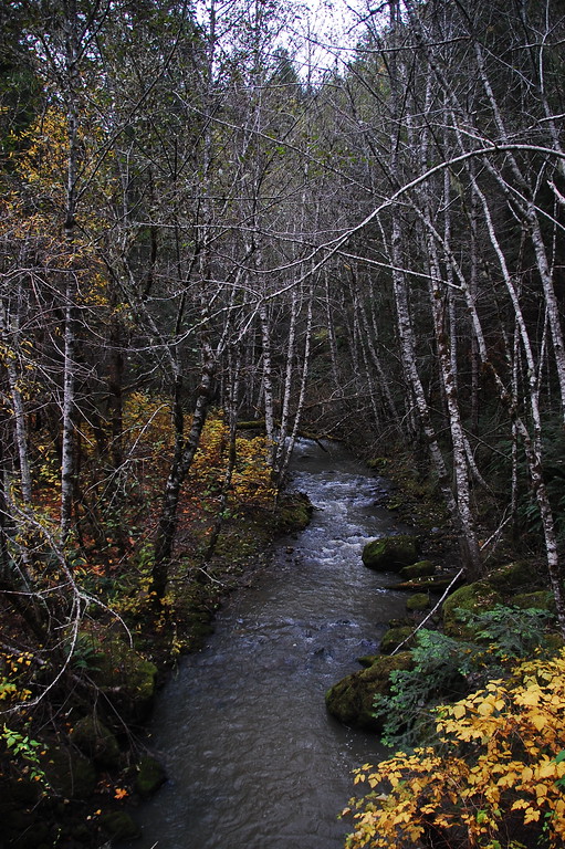 DSC_0607-XL.jpg