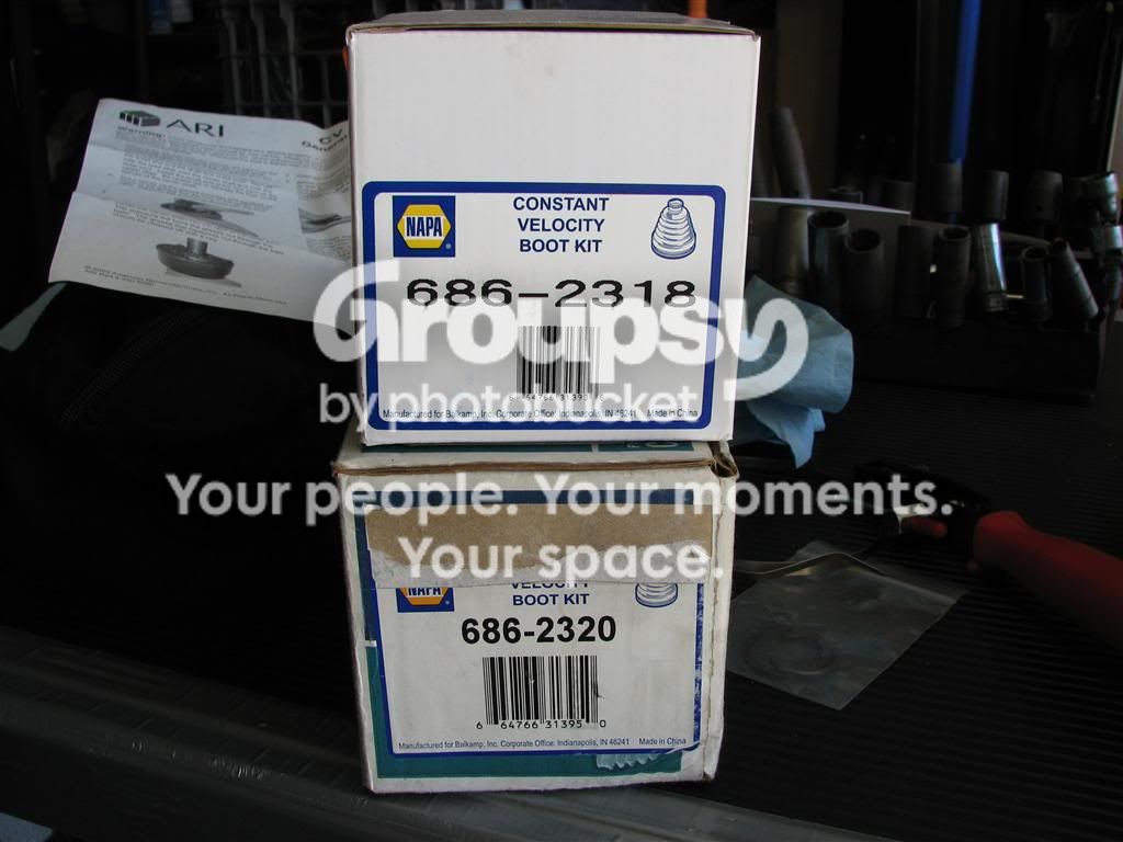 IMG_9298Medium.jpg~original