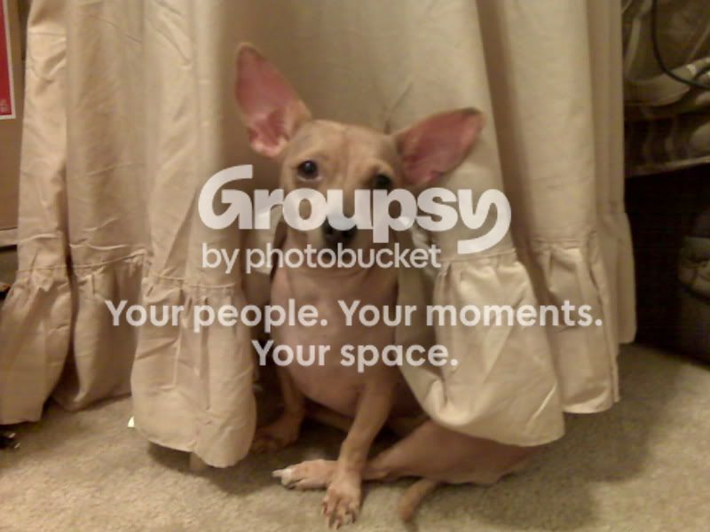 IMG00060.jpg~original