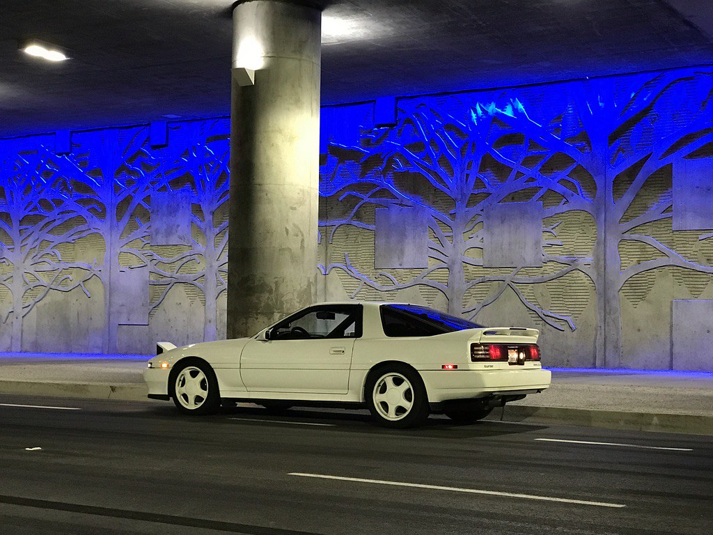 51310711800_b2a9d142cb_b.jpg