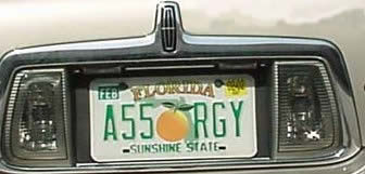 a149_p10.jpg