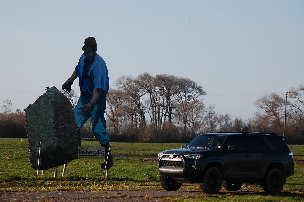 DSC_0012-XL.jpg