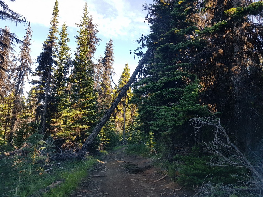 52943427077_e6a01d0a60_b.jpg