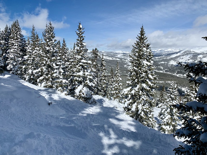 47336186862_aa72d3813e_c.jpg