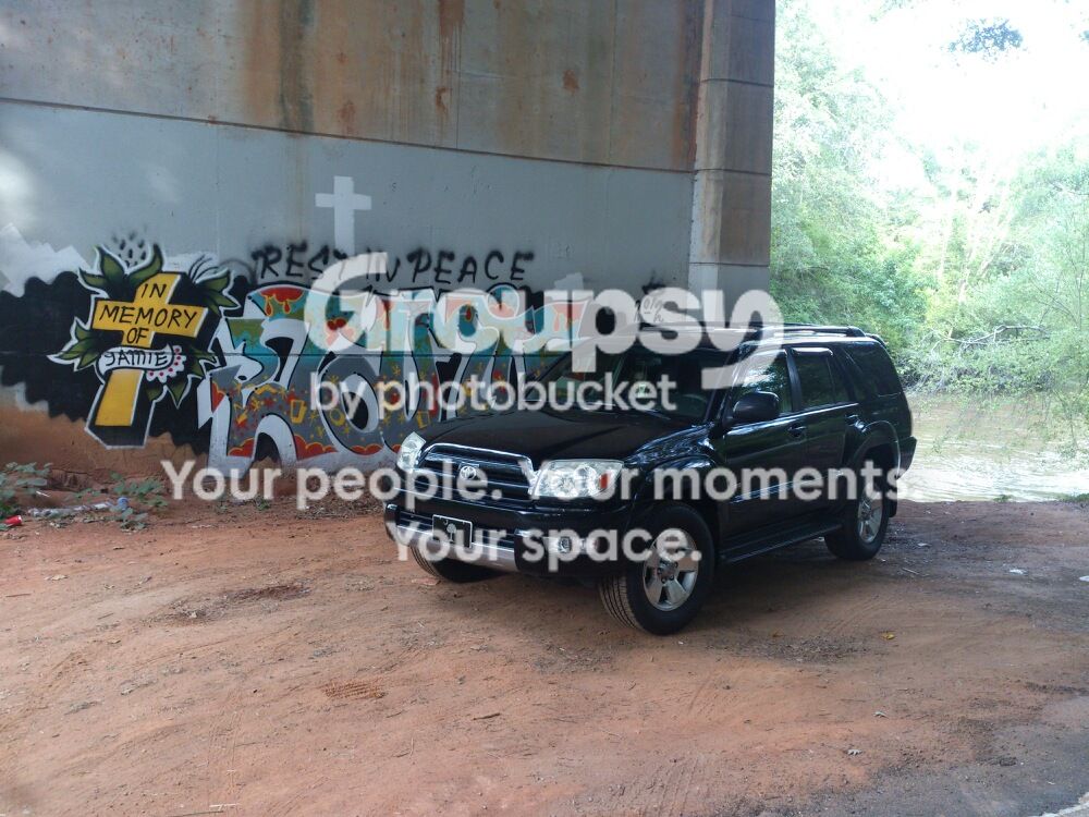 mms_img-1829250834.jpg~original