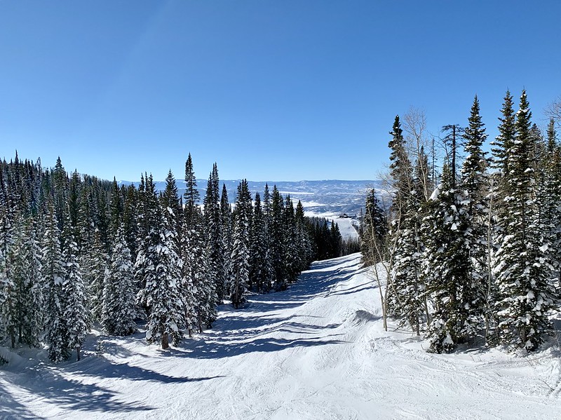 45680657285_3a53ea5696_c.jpg