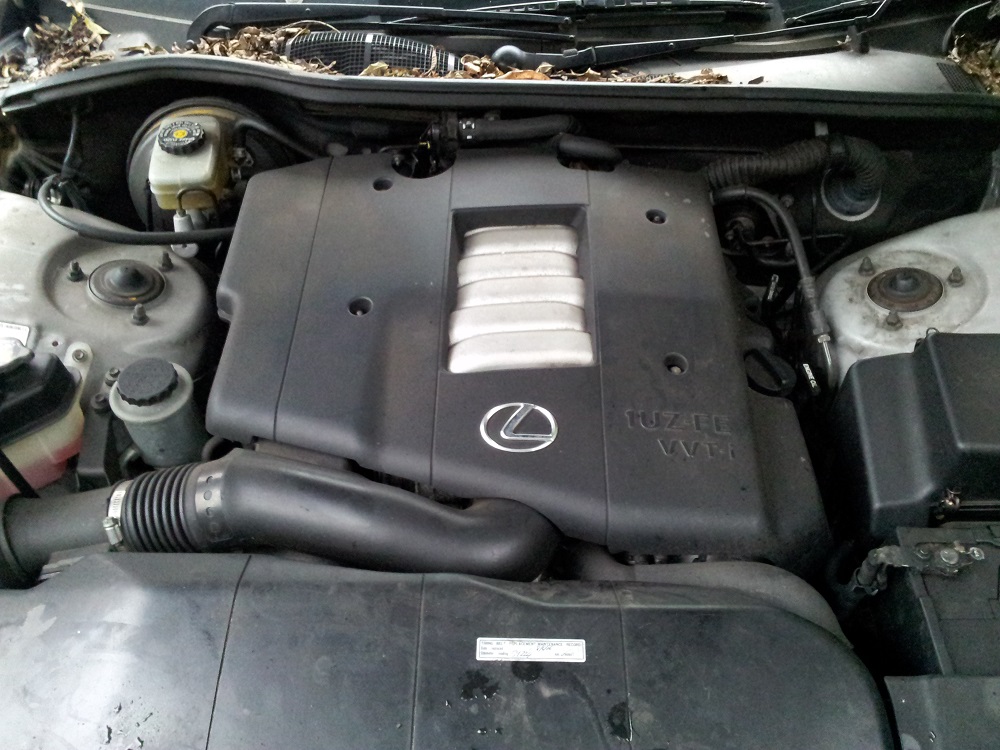 V83.jpg