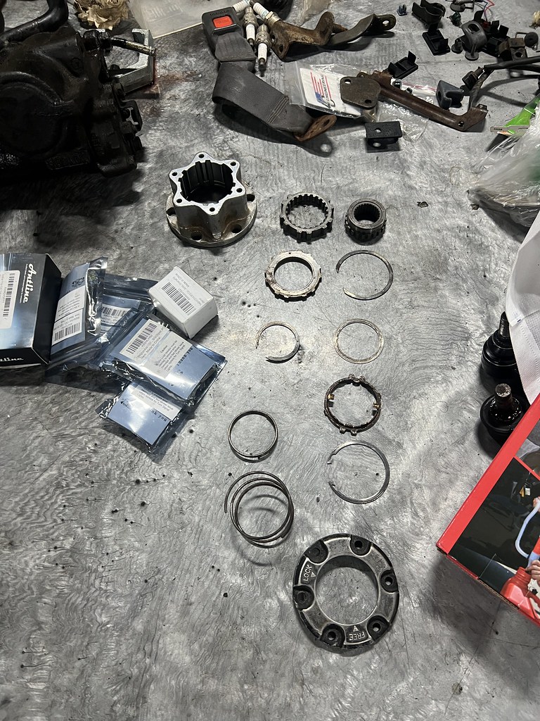 55545689576_32e0714d60_b.jpg