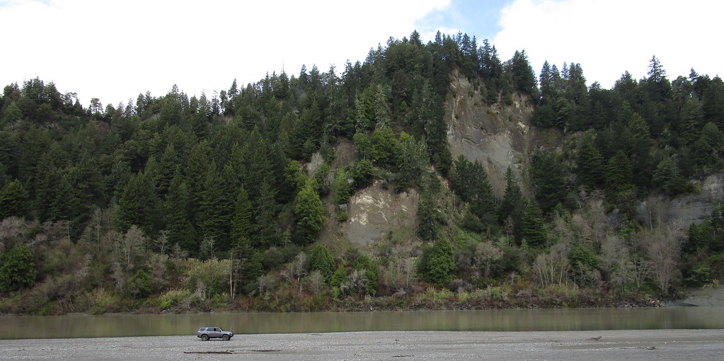 IMG_0318-XL.jpg