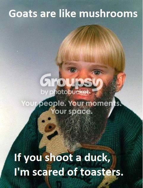 403532_448329238518261_859360639_n.jpg~original