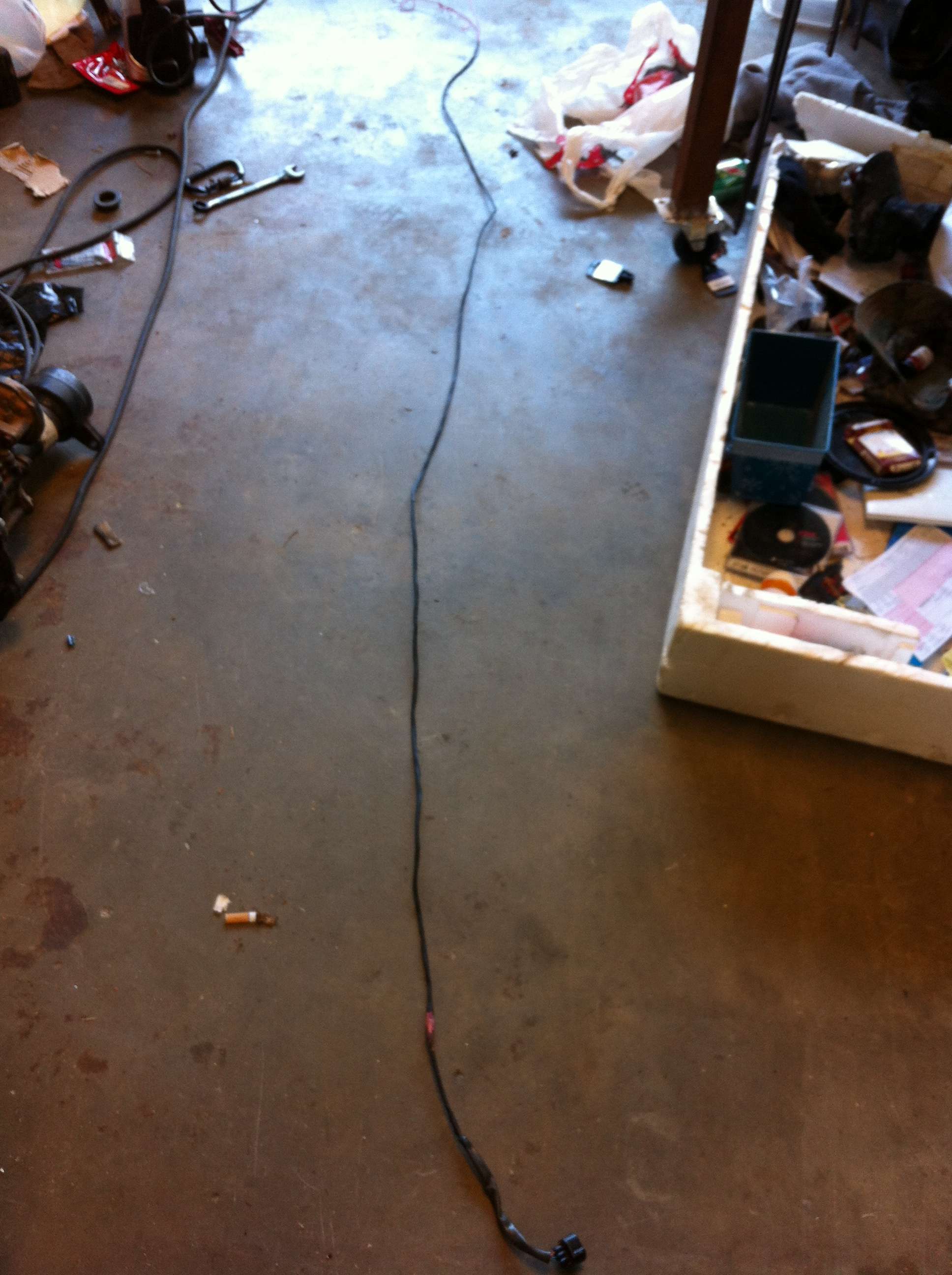img1703wkt.jpg