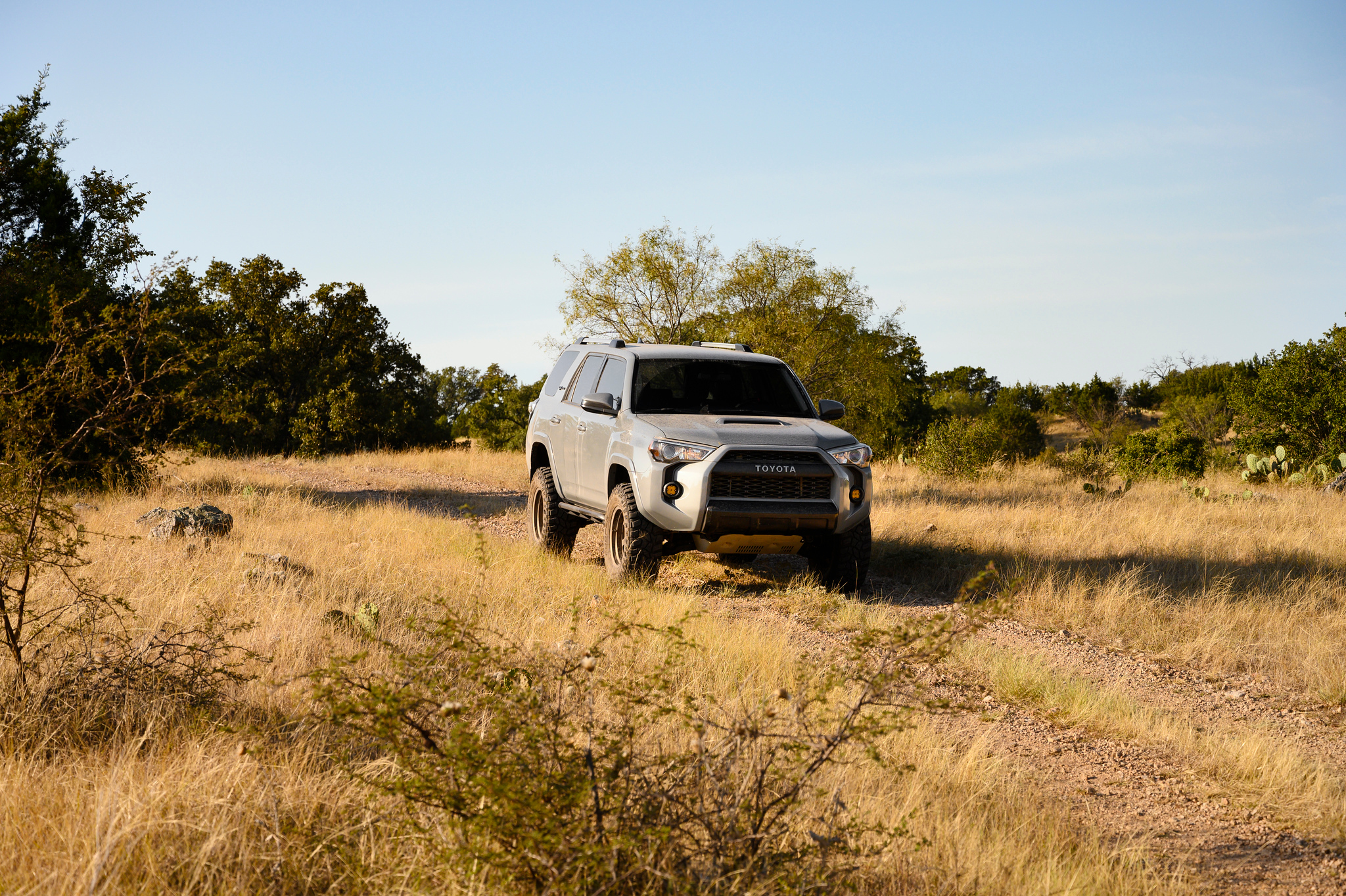 DSC_7819-X4.jpg